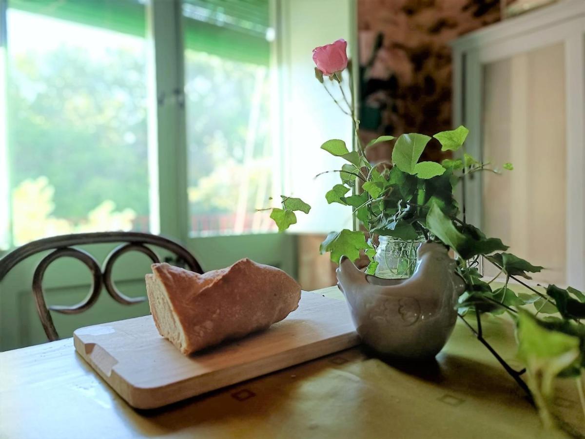 Vivalidays Casa Rural Anna Mieres Gerona ภายนอก รูปภาพ
